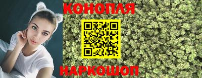 сатива Канаш