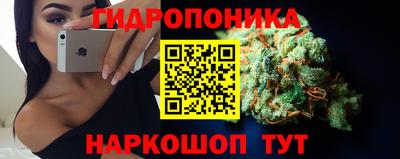 сатива Канаш