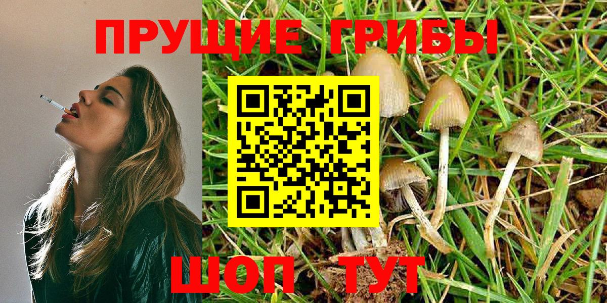 Галлюциногенные грибы мицелий  Псилоцибиновые грибы GOLDEN TEACHER  Луховицы  Вход с VPN 